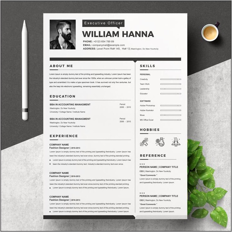 Free Professional Resume Template 2013