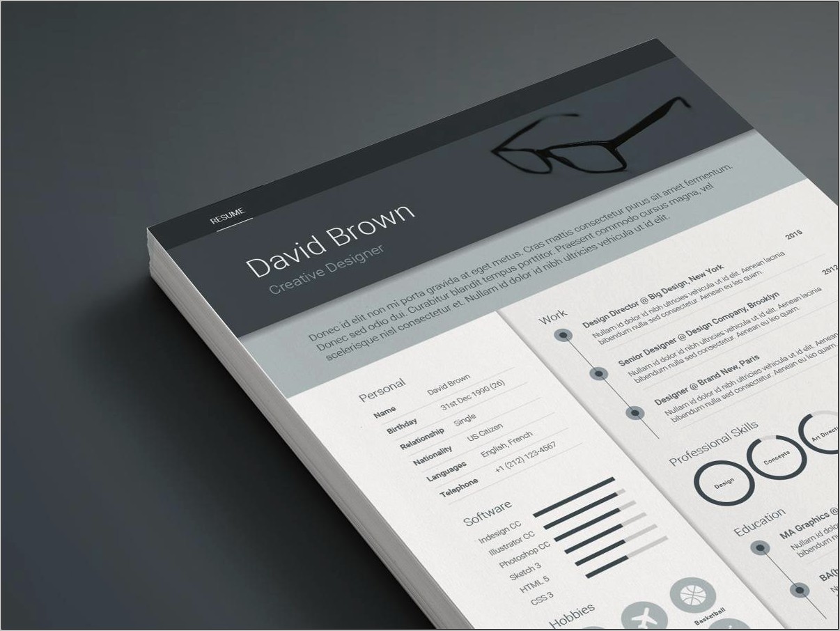 Free Professional Resume Template Indesign