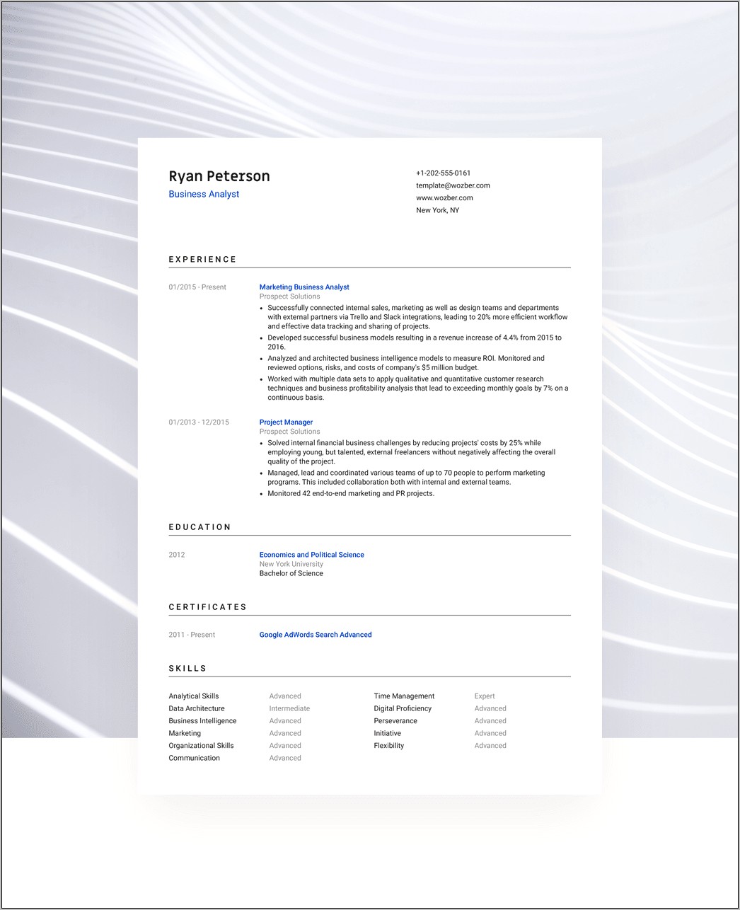 Free Professional Resume Templates 2012