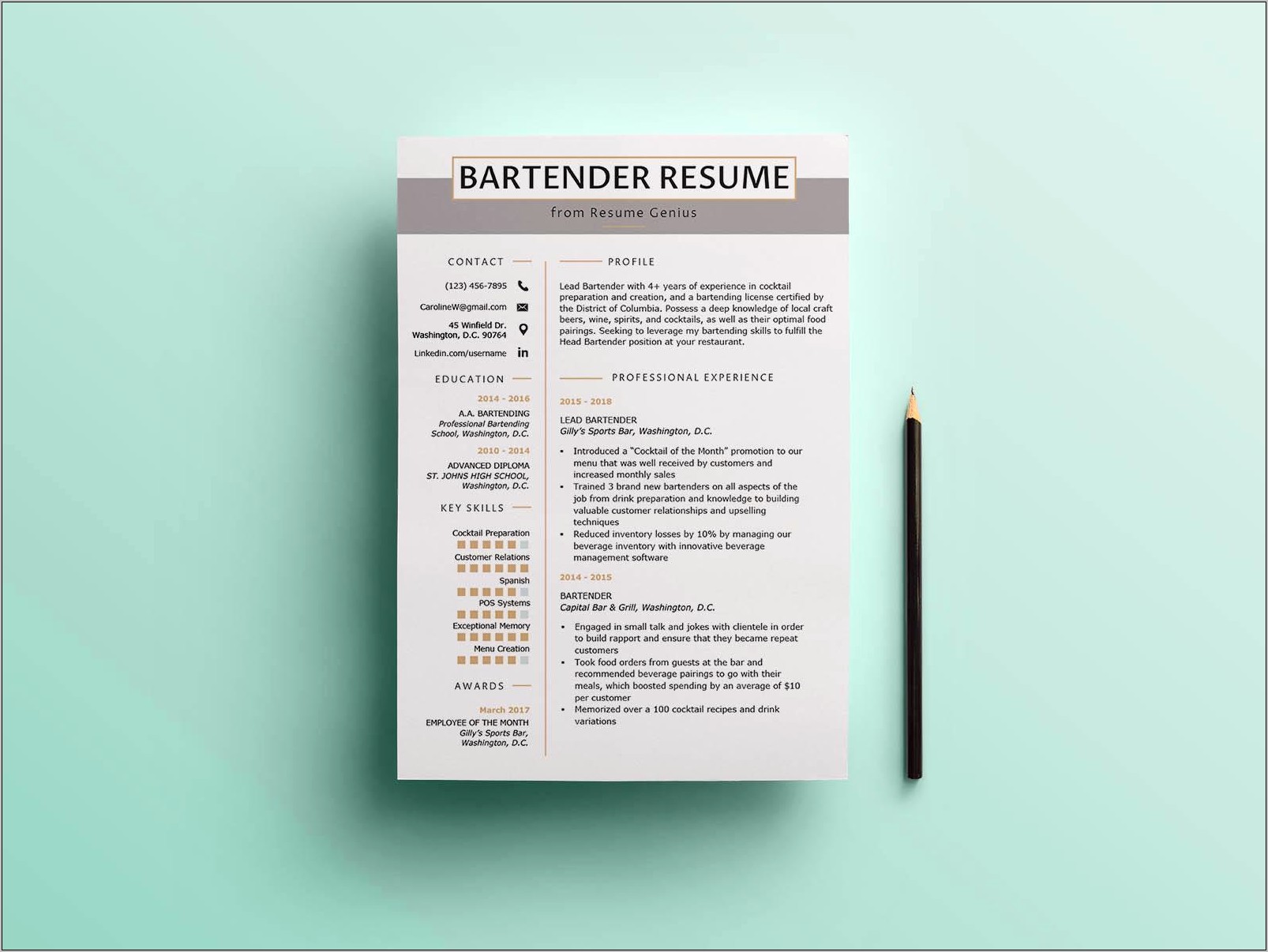 Free Professional Resume Templates 2016