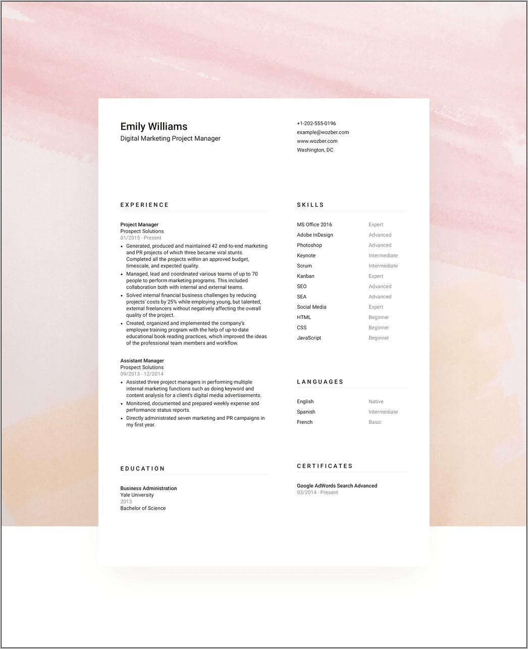 Free Professional Templates For Resume