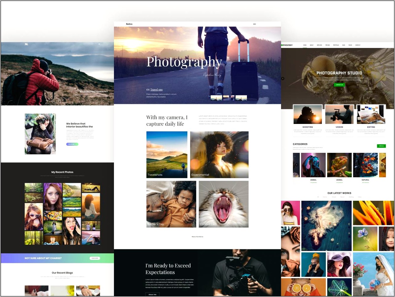 Free Responsive Web Template Free Download