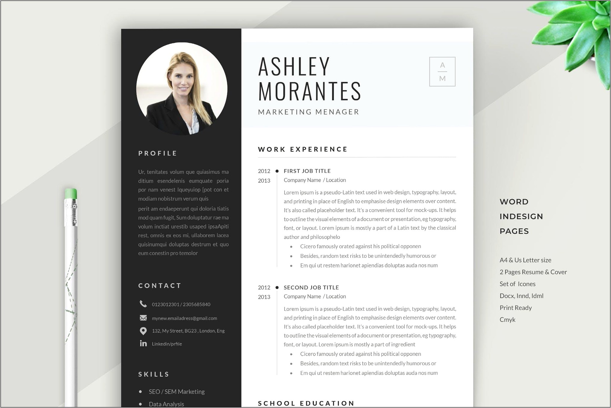 Free Resume Templates Mac Pages