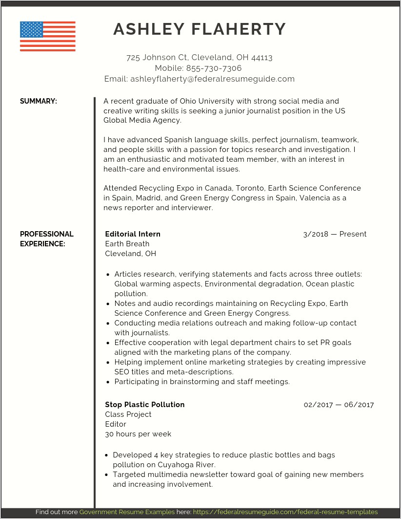 Free Sample Federal Government Resumes