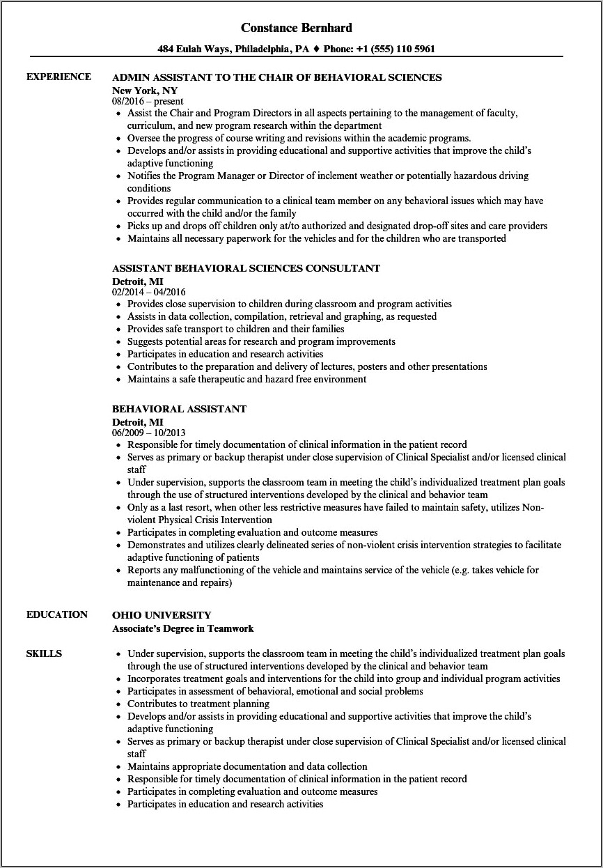 Free Sample Program Assistant Resume