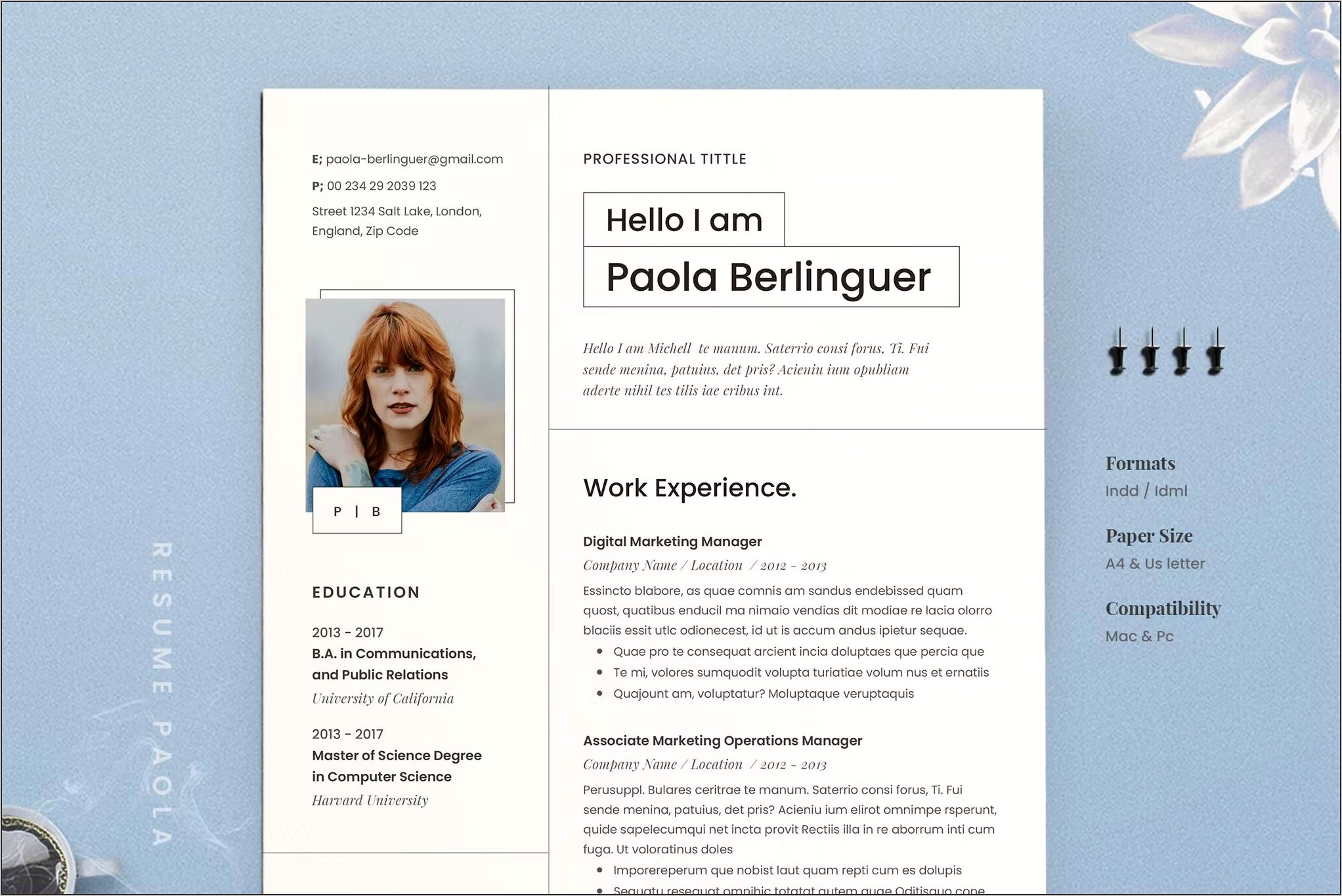 Free Stylish Resume Templates Docx