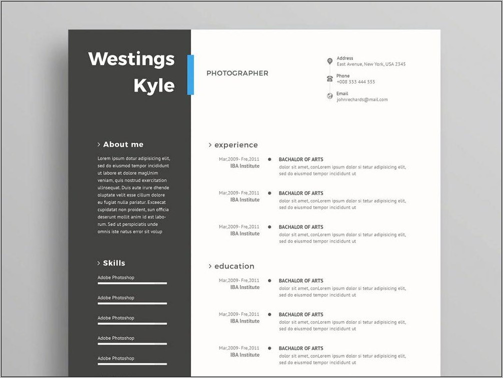 Free Stylish Resume Templates Word