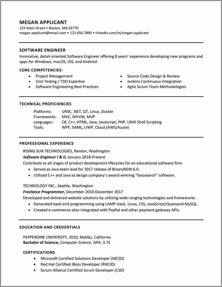 Freelance Software Developer Resume Sample