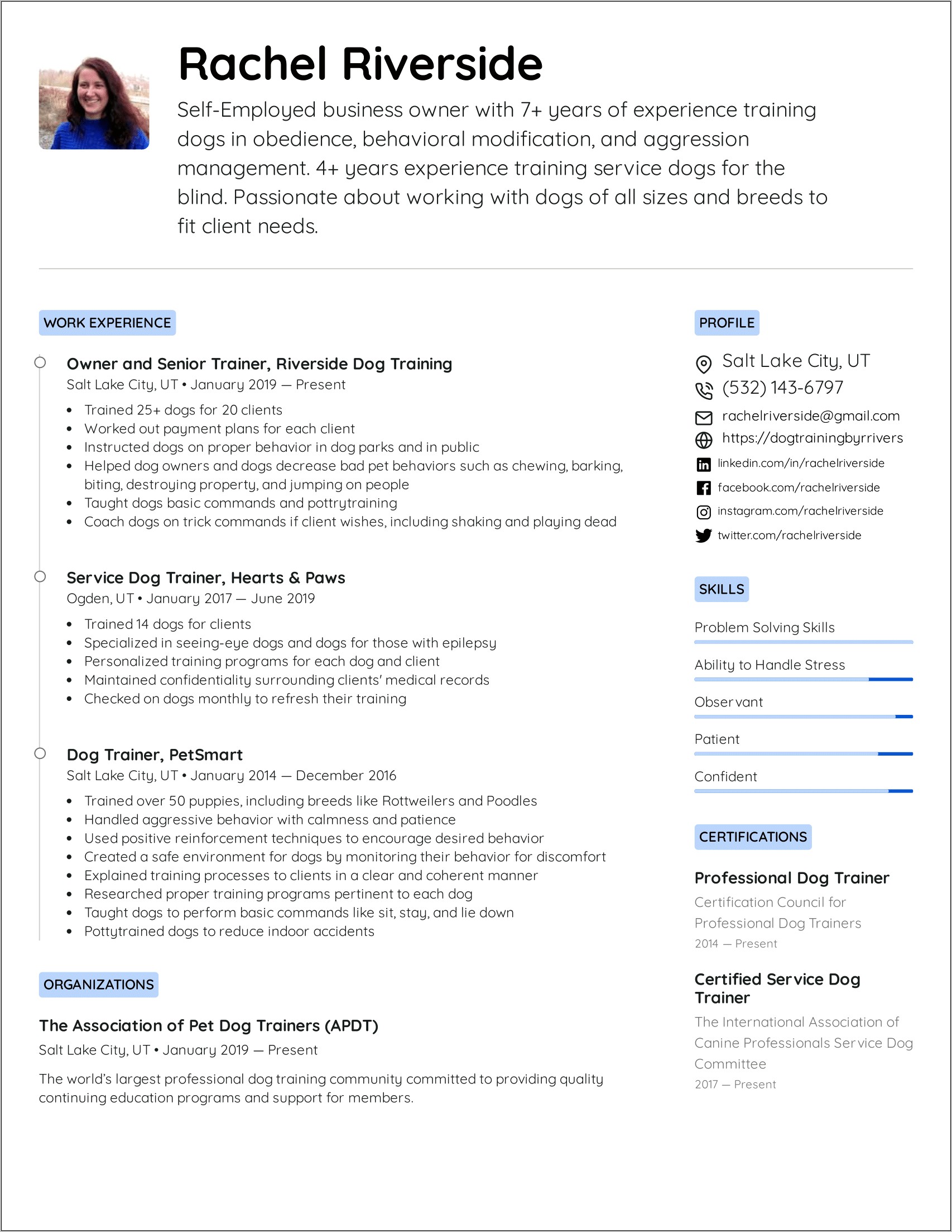 Freelance Technical Trainer Resume Sample