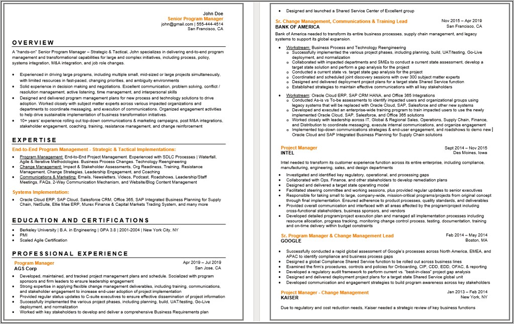 Google Program Manager's Resume