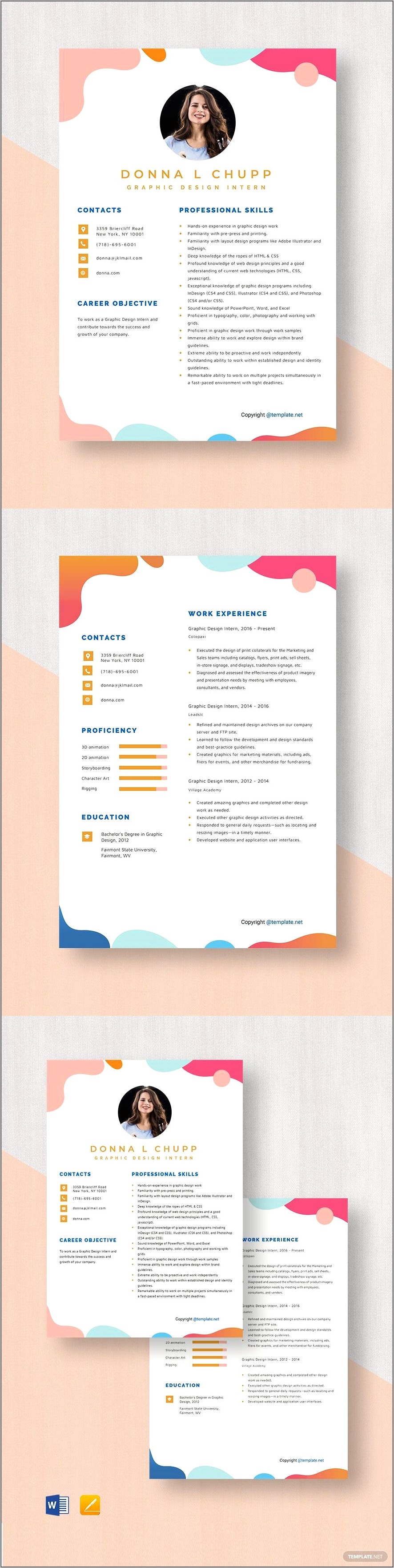 Graphic Design Intern Skills Resume