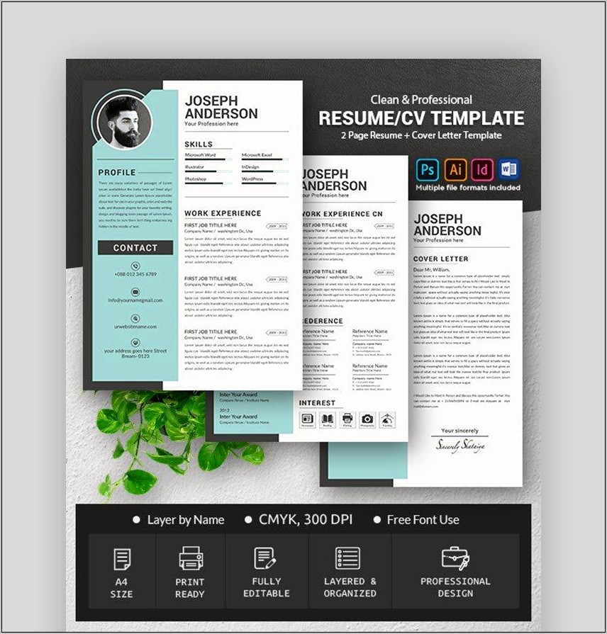 Graphic Designer Best Resume Fonts