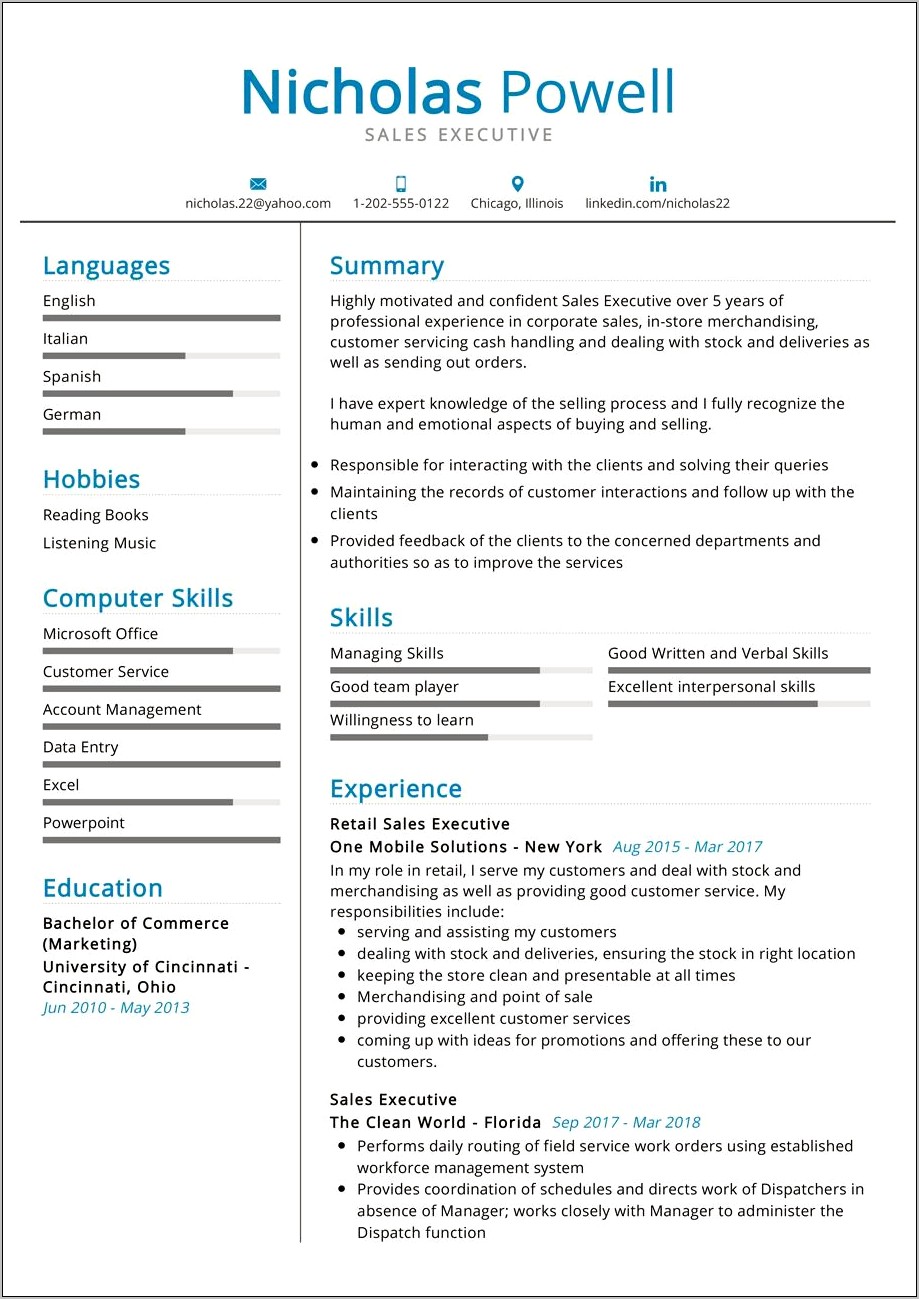 Great Examples Of Executive Resumes