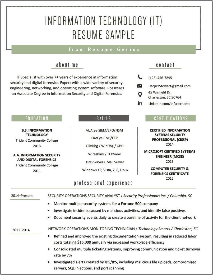 Great Information Technology Resume Examples