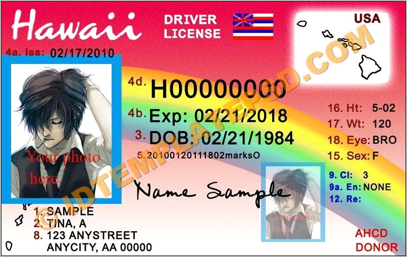 Hawaii Drivers License Template Free Download