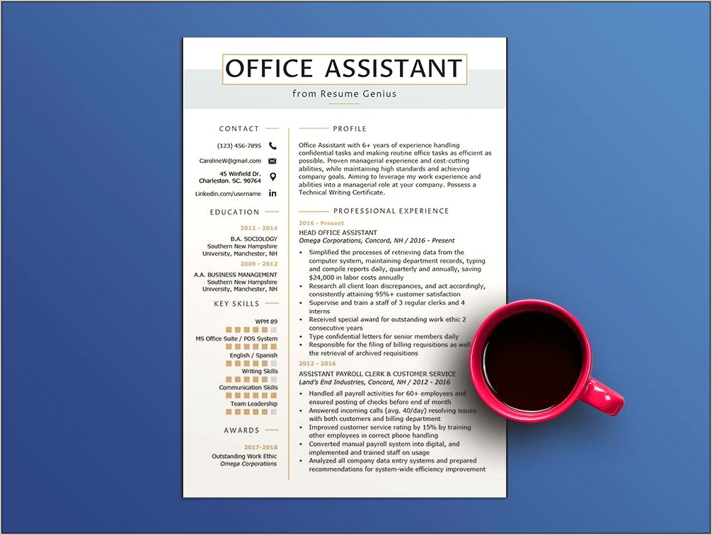 Help Desk Assistant Resume Sample