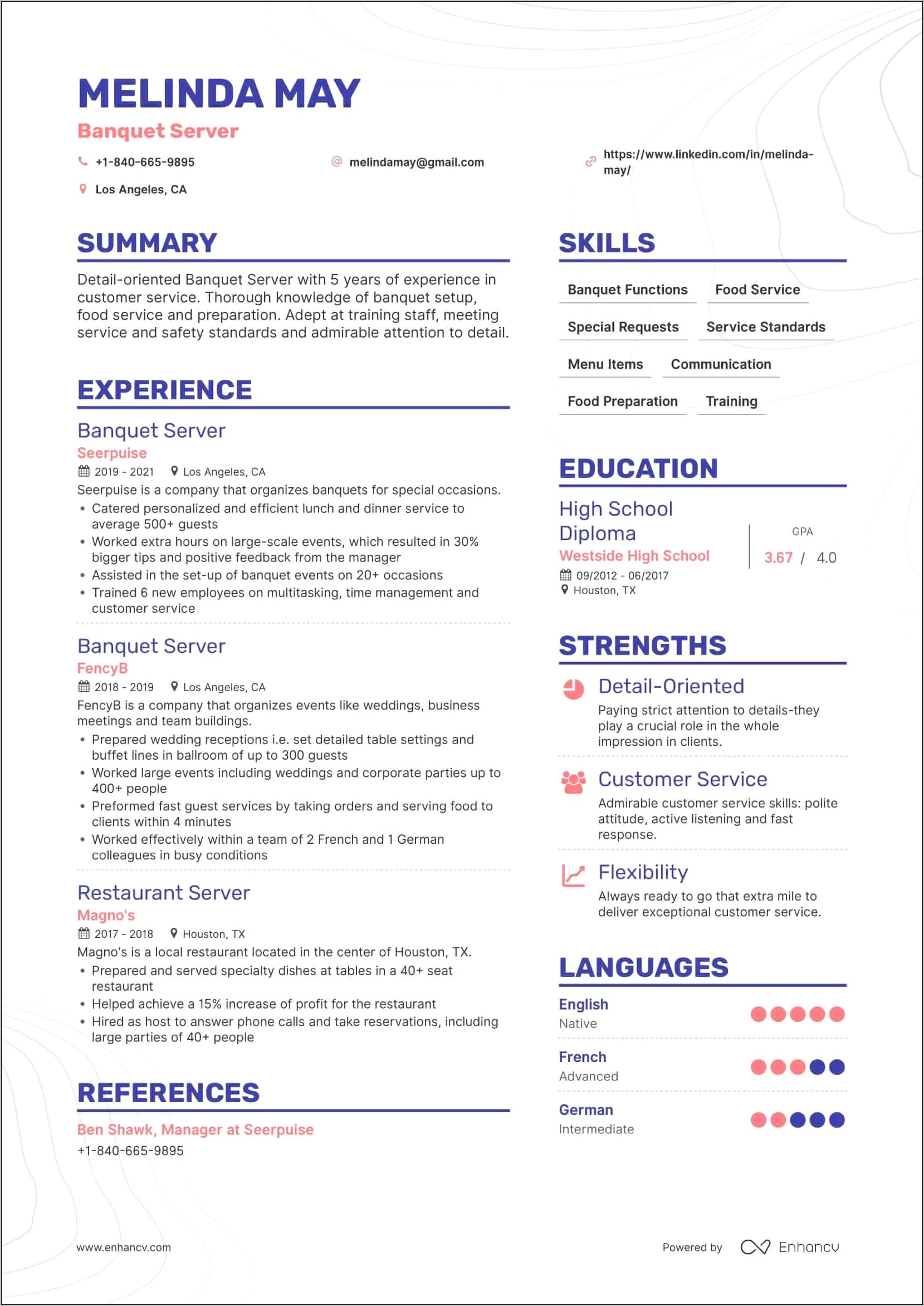 High End Server Resume Example