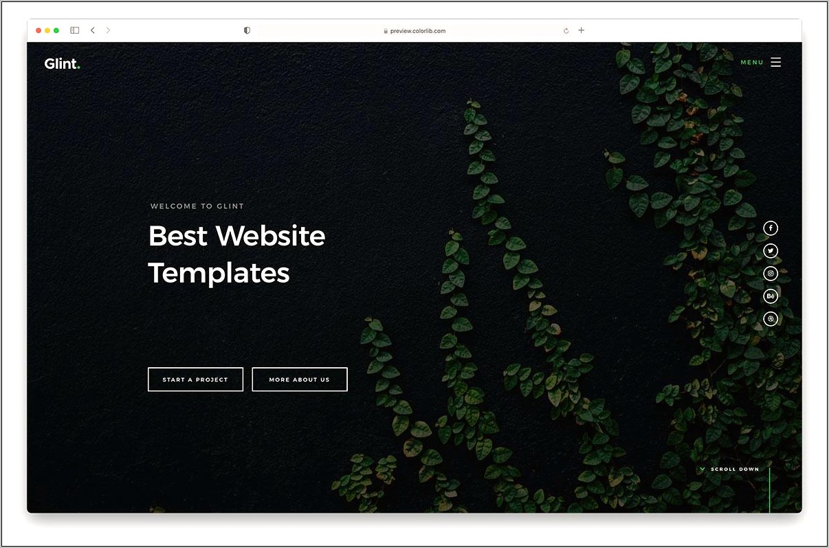 High Quality Web Template Free Download