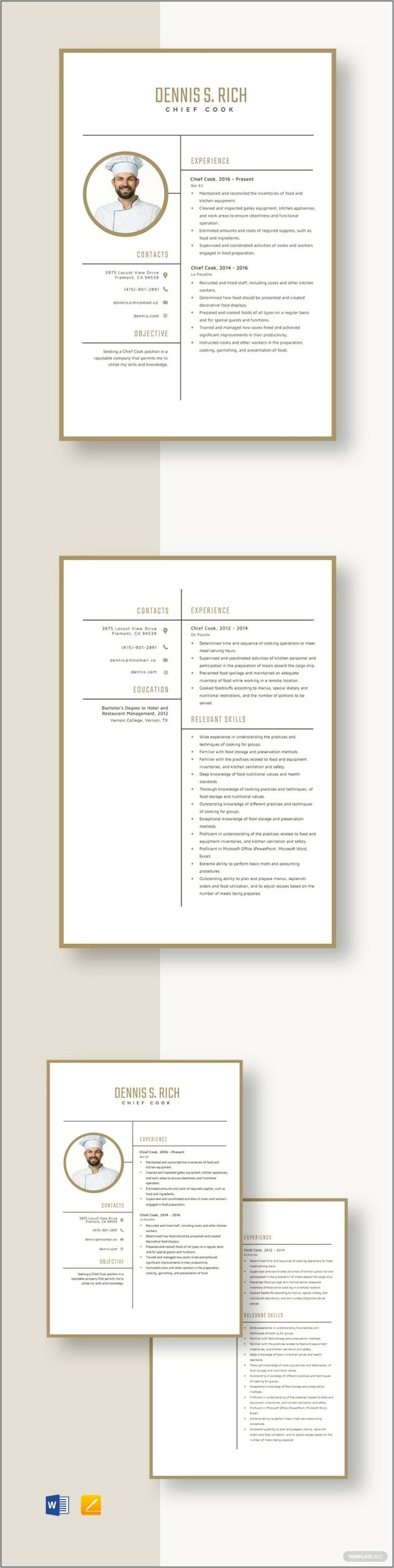 Hotel Chief Engineer Resume Sample