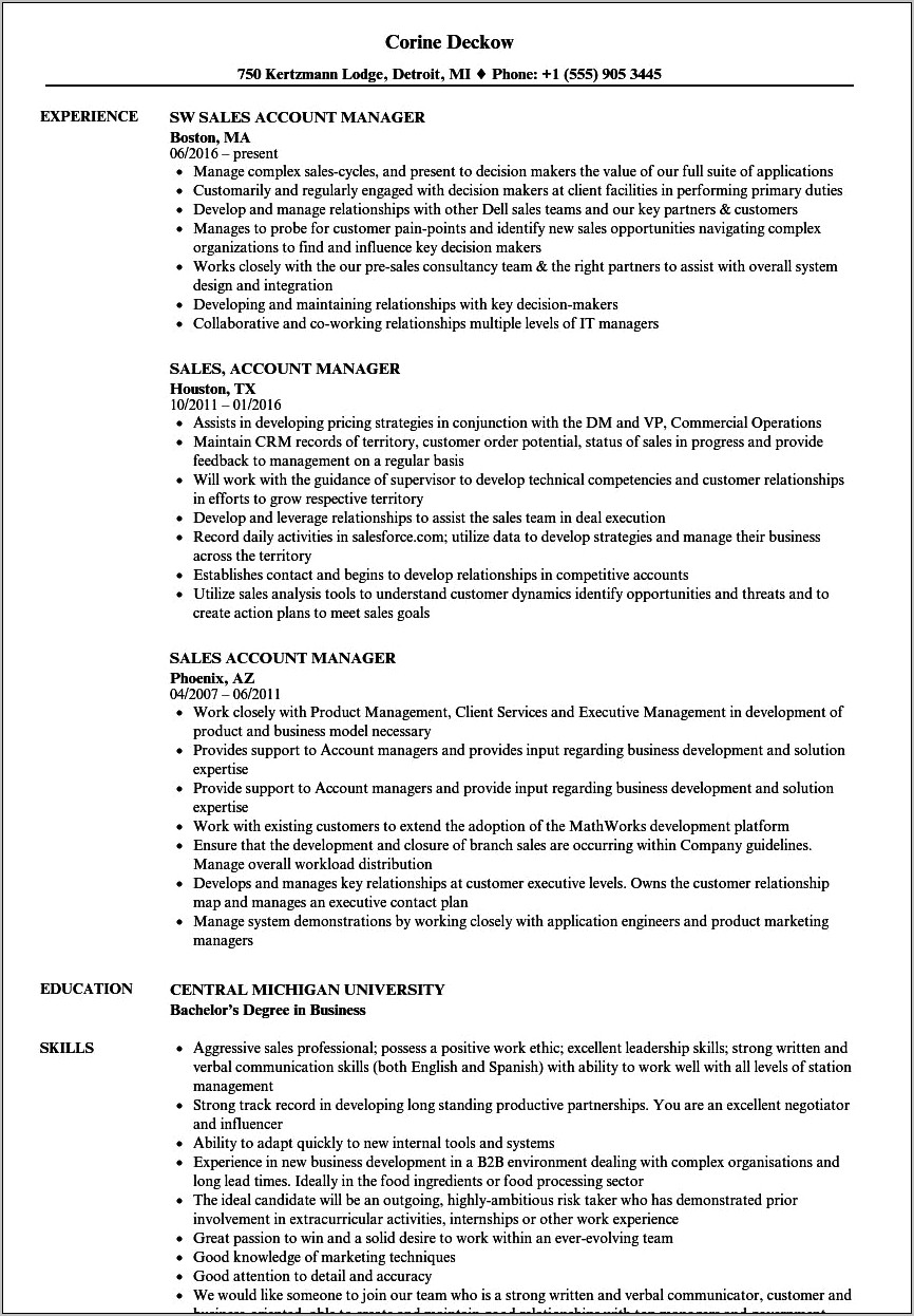 Hotel Sales Account Manager Resume