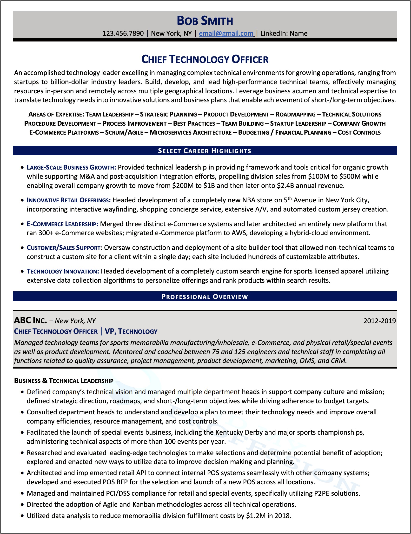 Hybrid Resume Examples General Positions