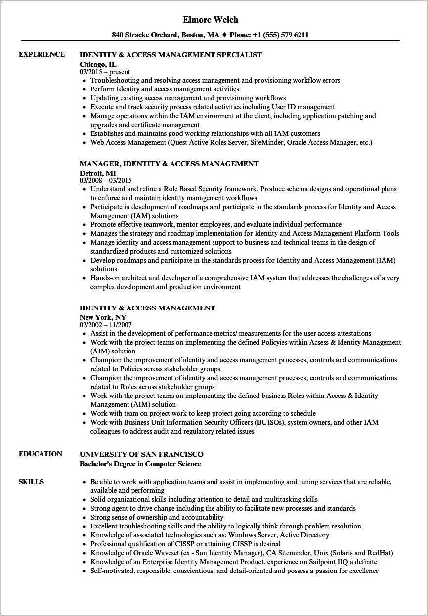 Identity Access Management Technical Resume