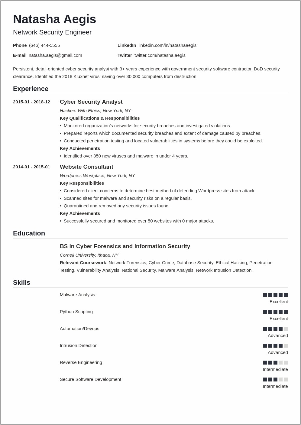 Information Security Consultant Resume Sample