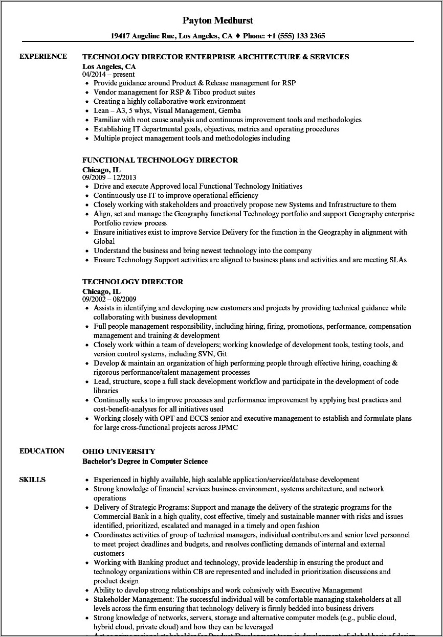 Information Technology Director Resume Example