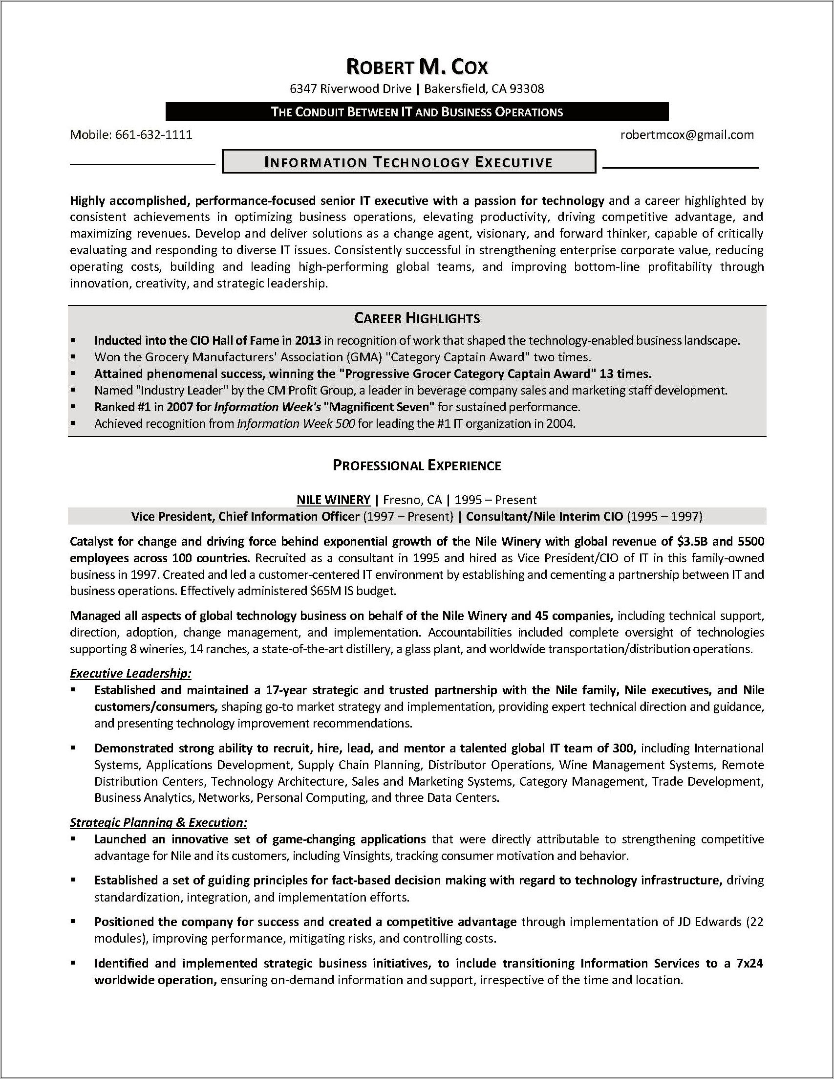 Information Technology Executive Resume Samples