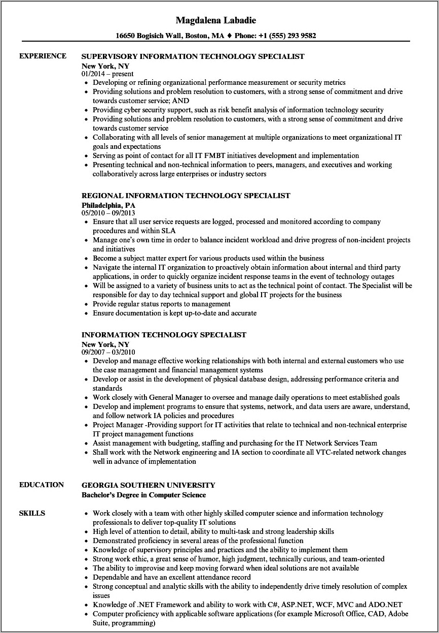 Information Technology Resume Skills Examples