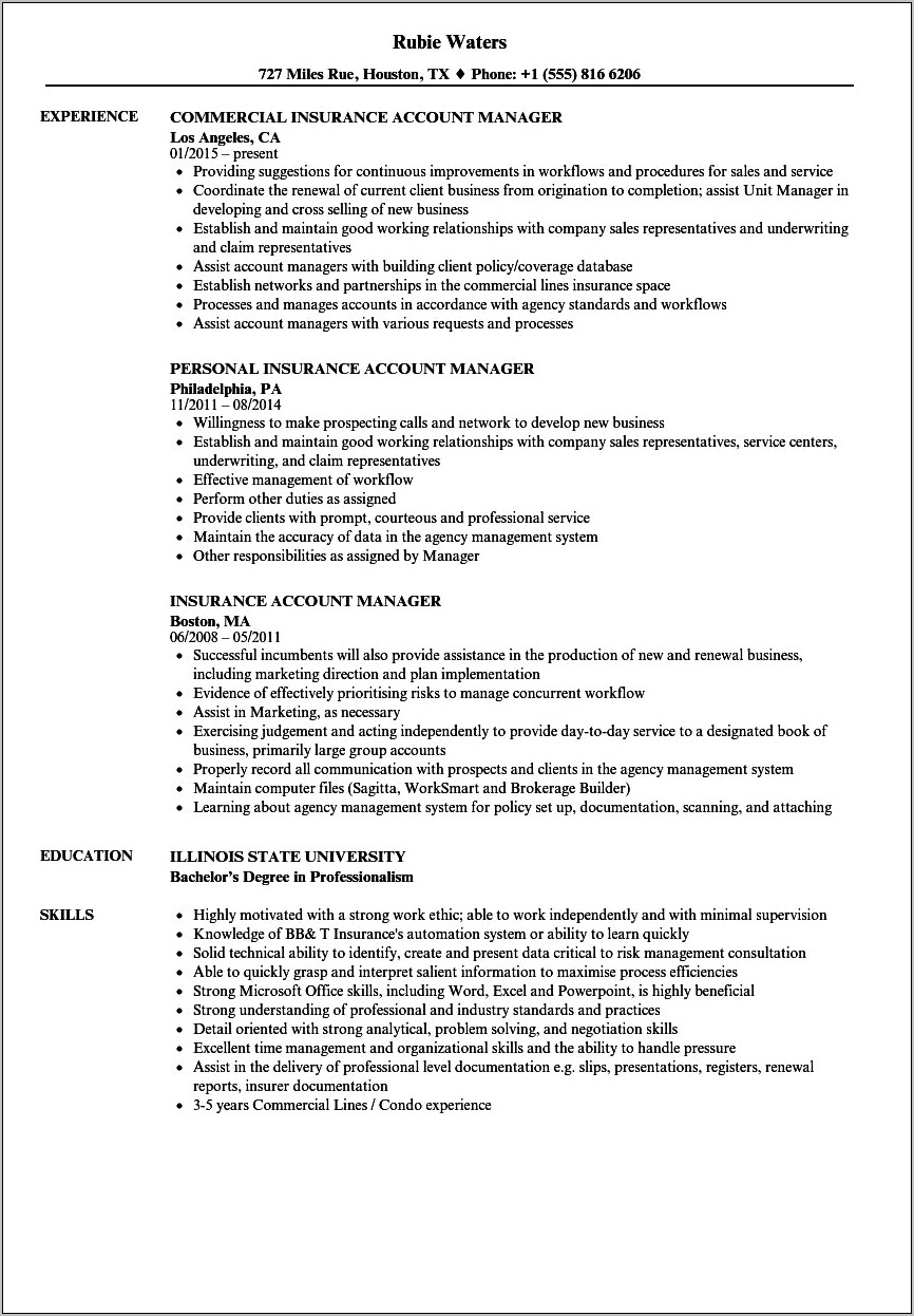 Insurance Assistant Account Manager Resume