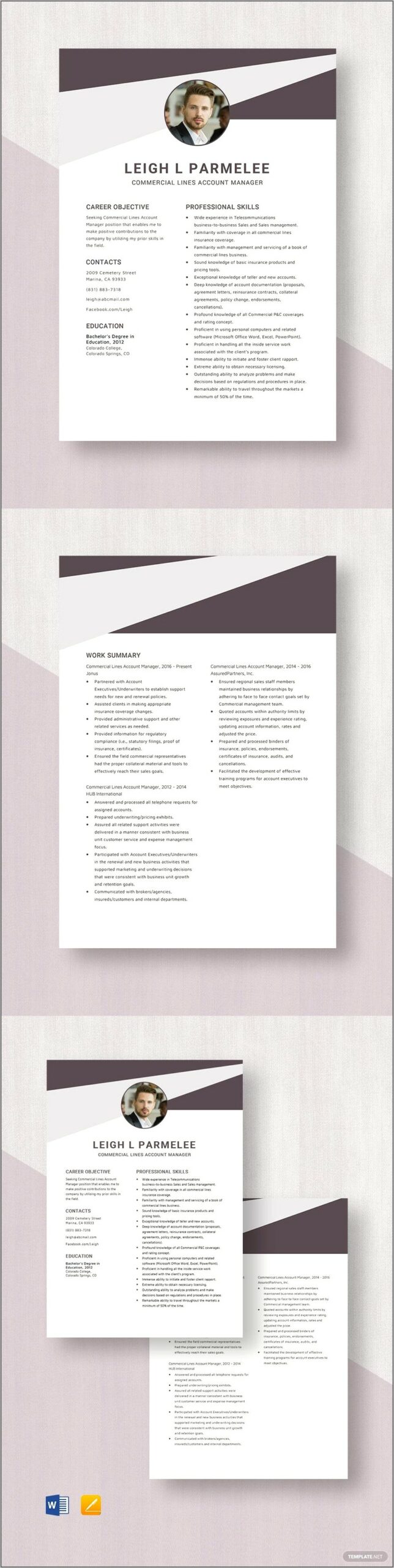 Insurance Business Development Manager Resume