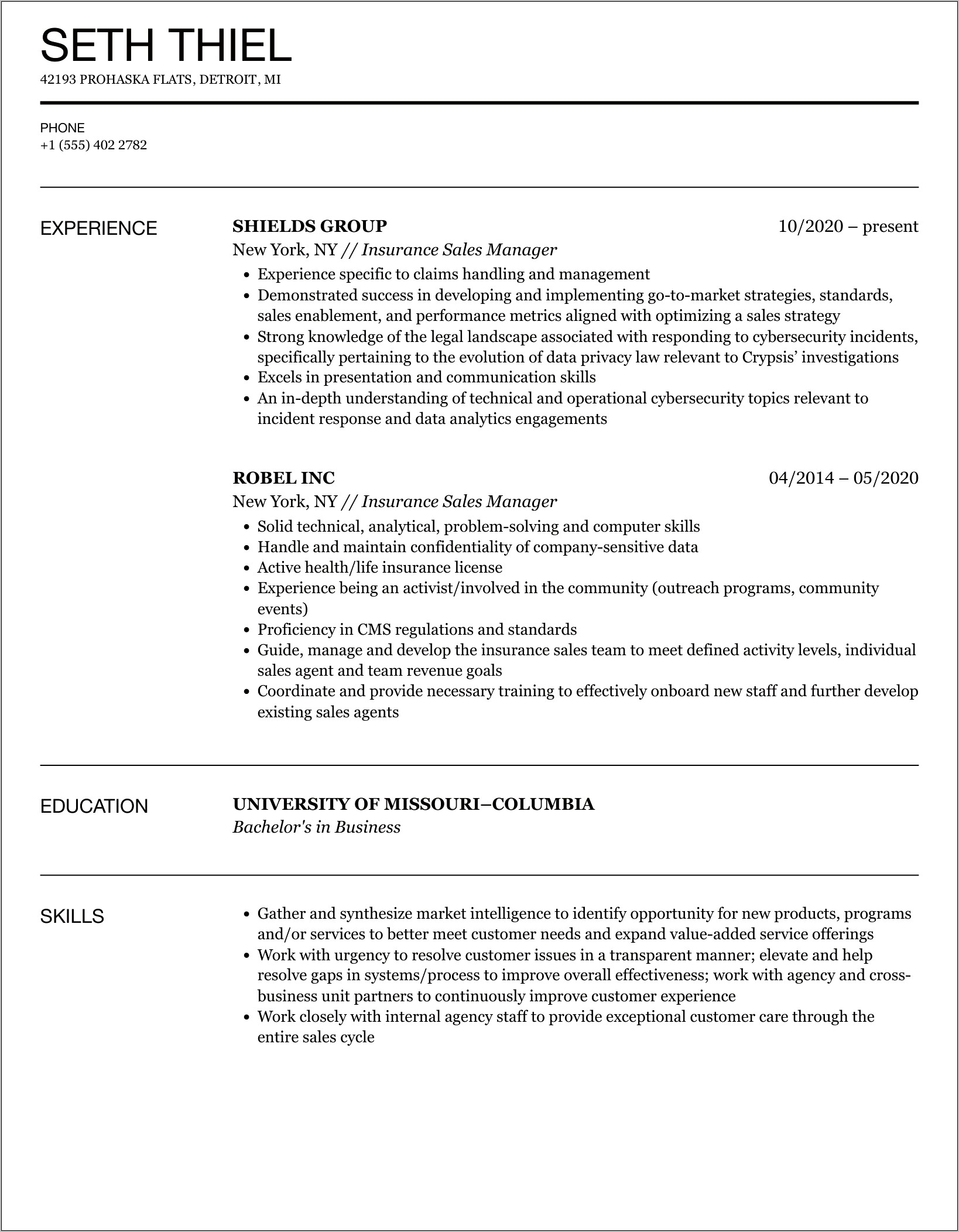 Insurance Sales Resume Templates Free