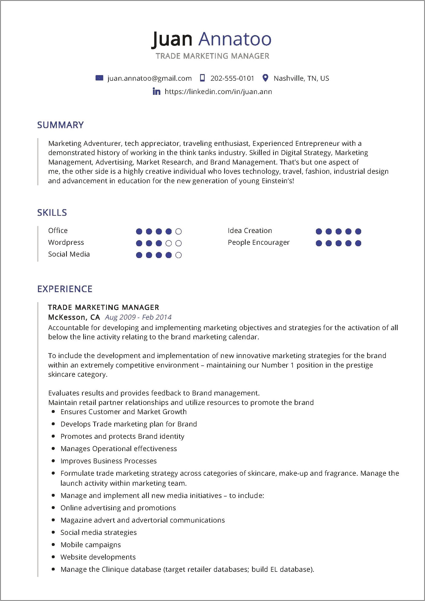 Interactive Marketing Manager Resume Summary