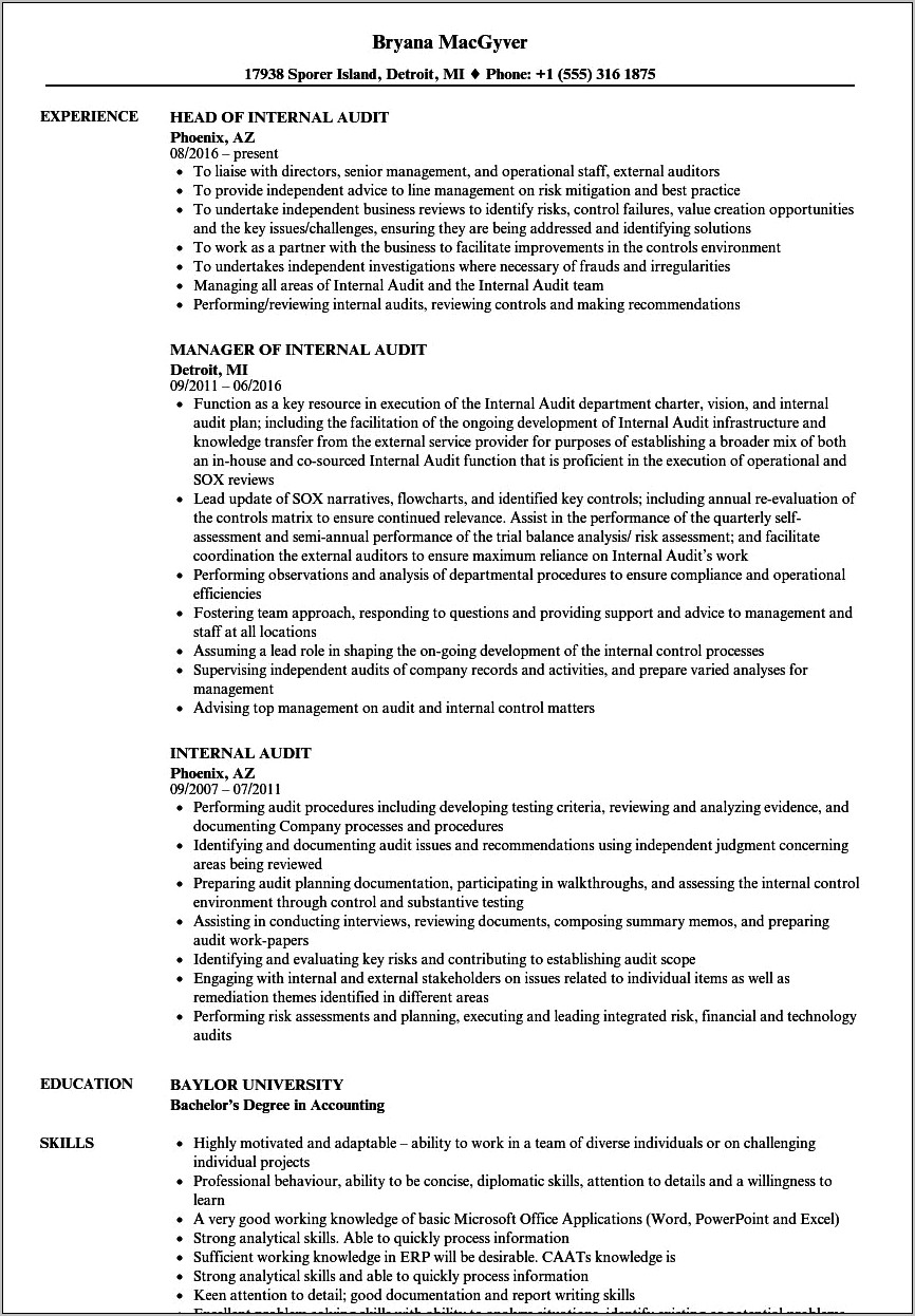 Internal Audit Job Description Resume