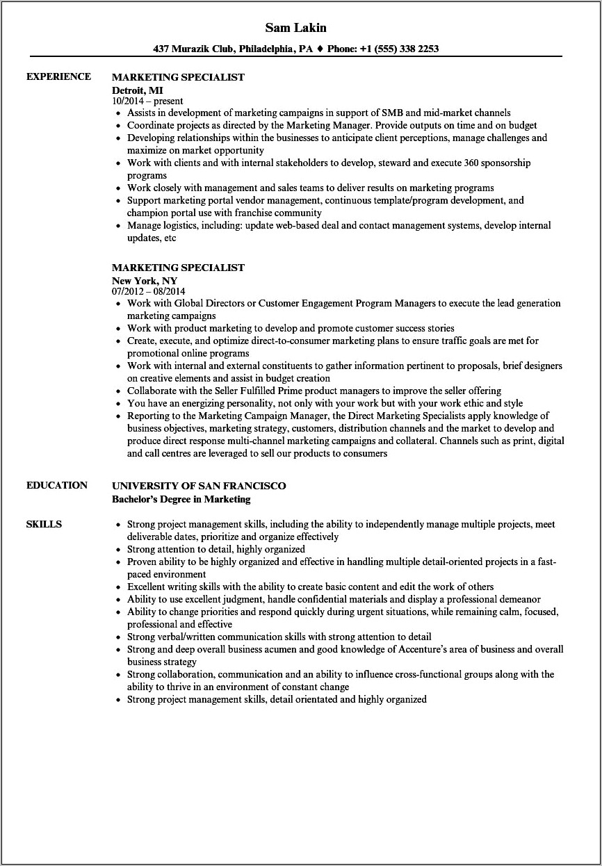 Internet Marketing Specialist Resume Sample