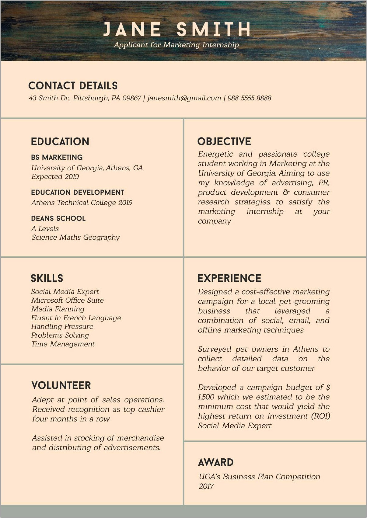 Internship Resume Template Free Download