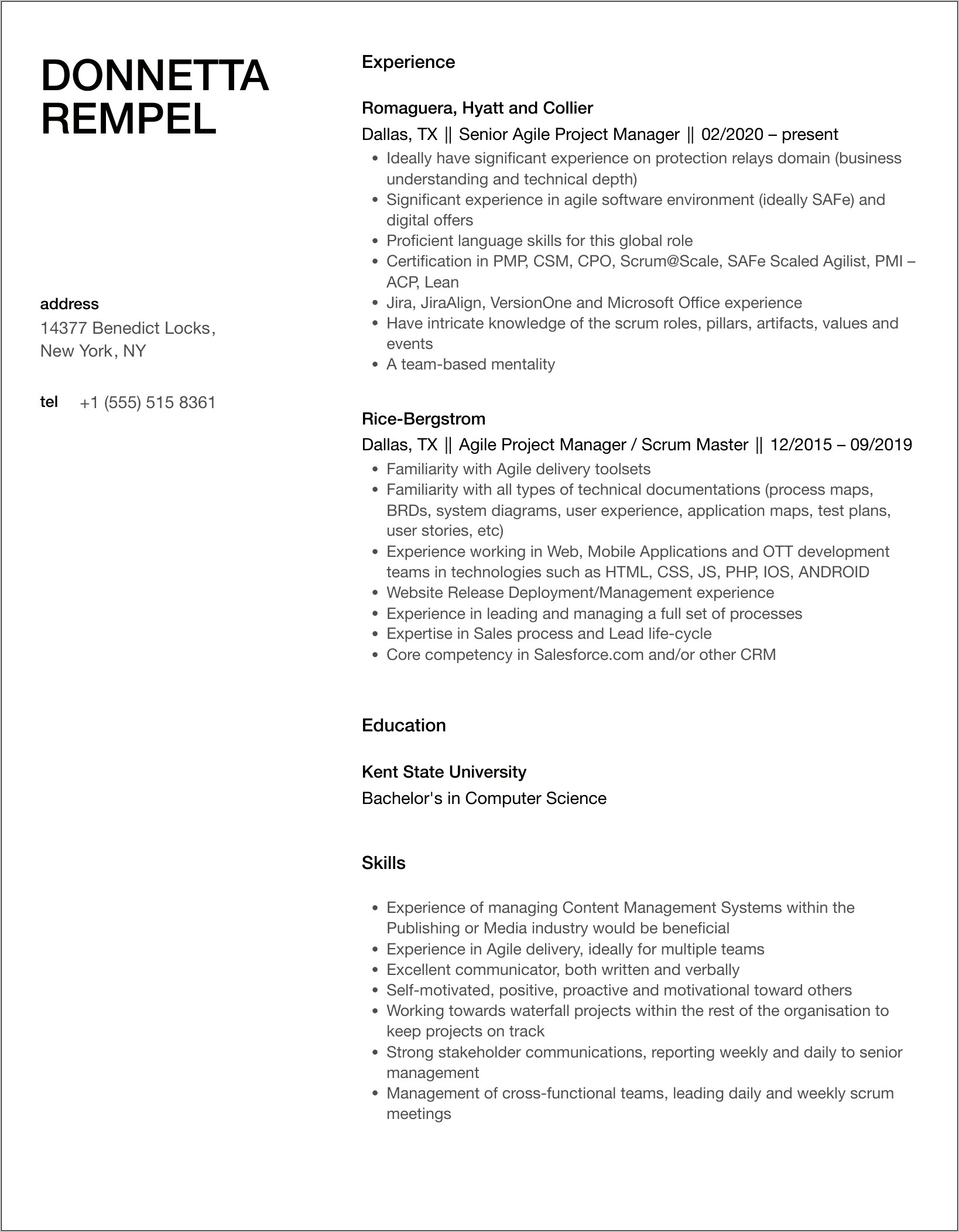 It Agile Project Manager Resume