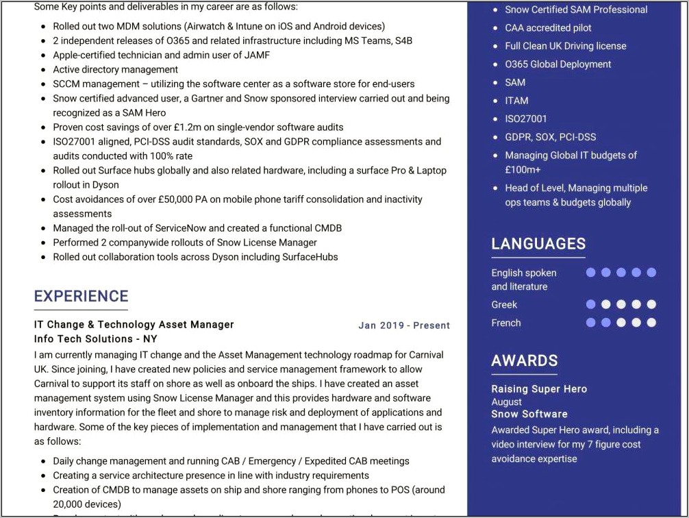 It Asset Manager Resume Summary