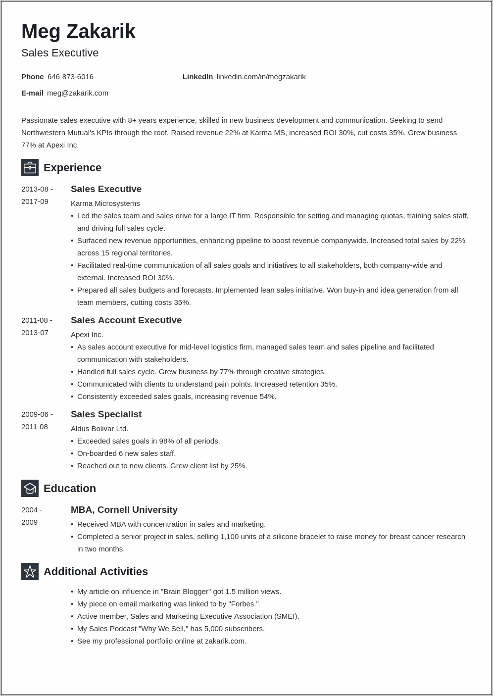 It Executive Resume Summary Examples