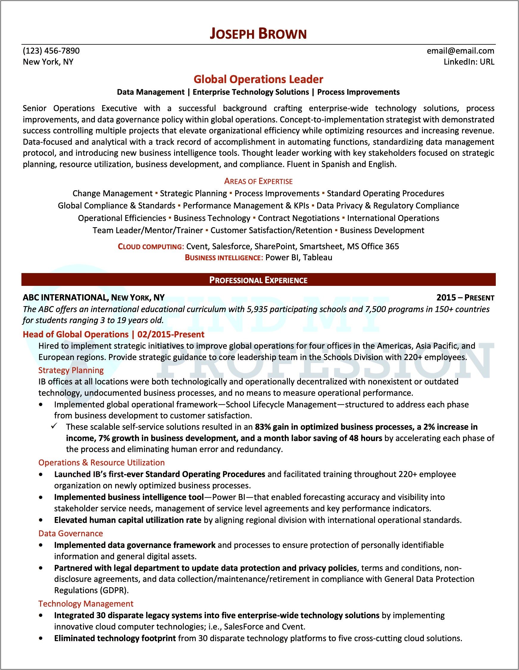 It Managing Director Resume Sample