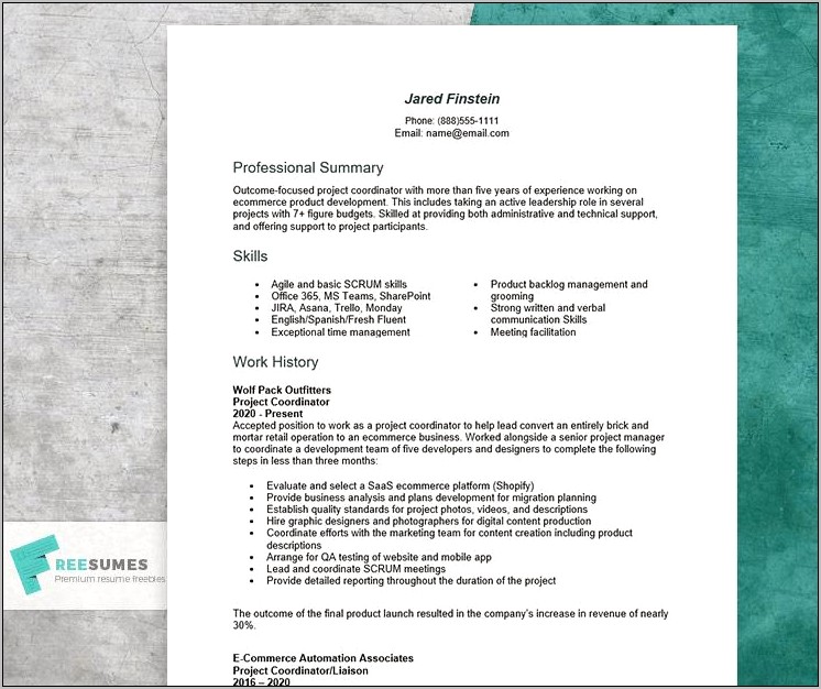 It Project Coordinator Resume Examples