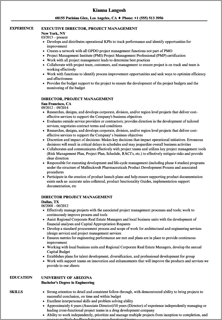 It Project Manager Functional Resume