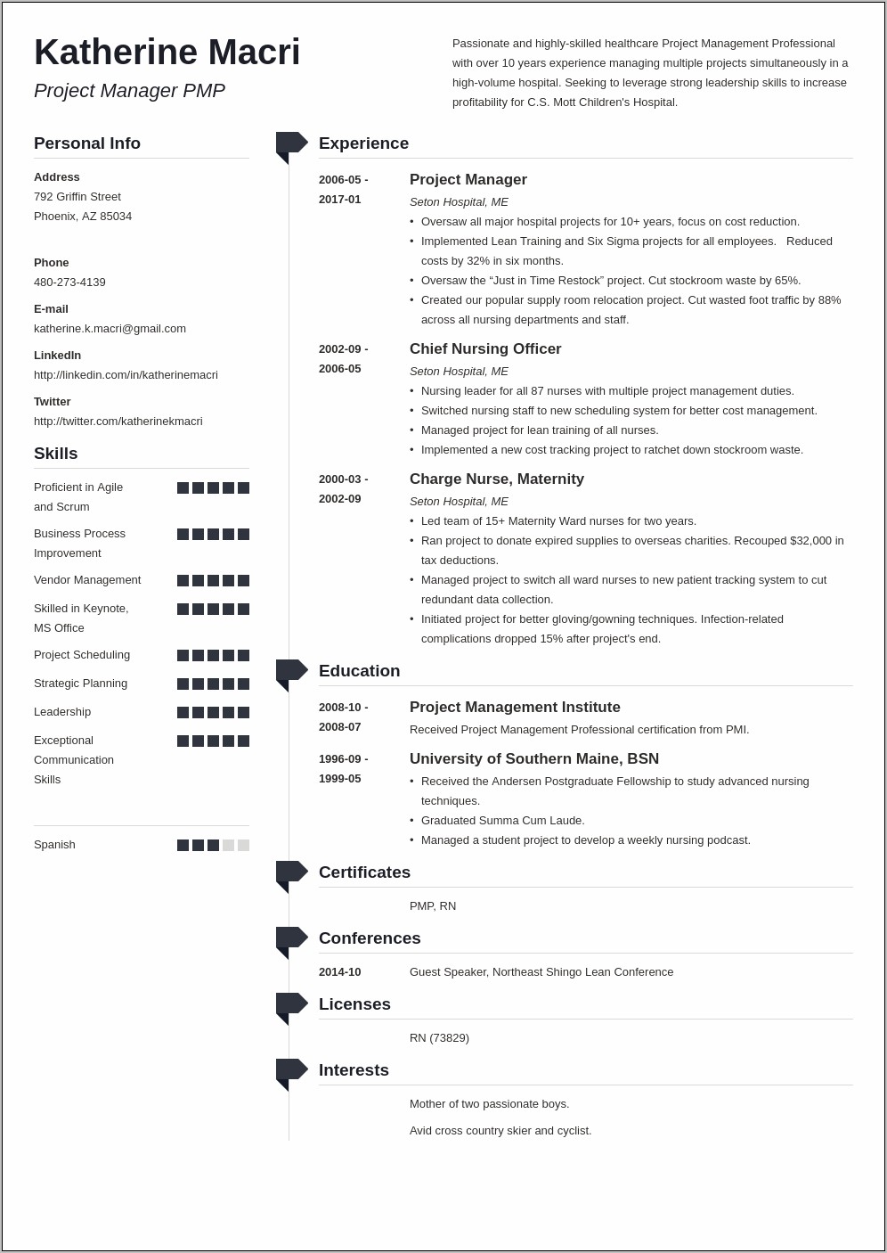 It Project Manager Resume Te