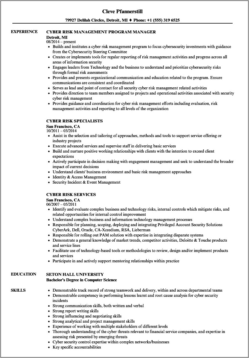 It Security Risk Management Resume