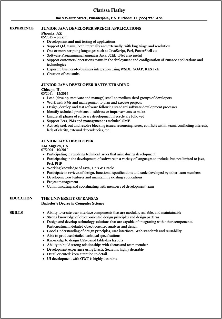 Java J2ee Developer Resume Example