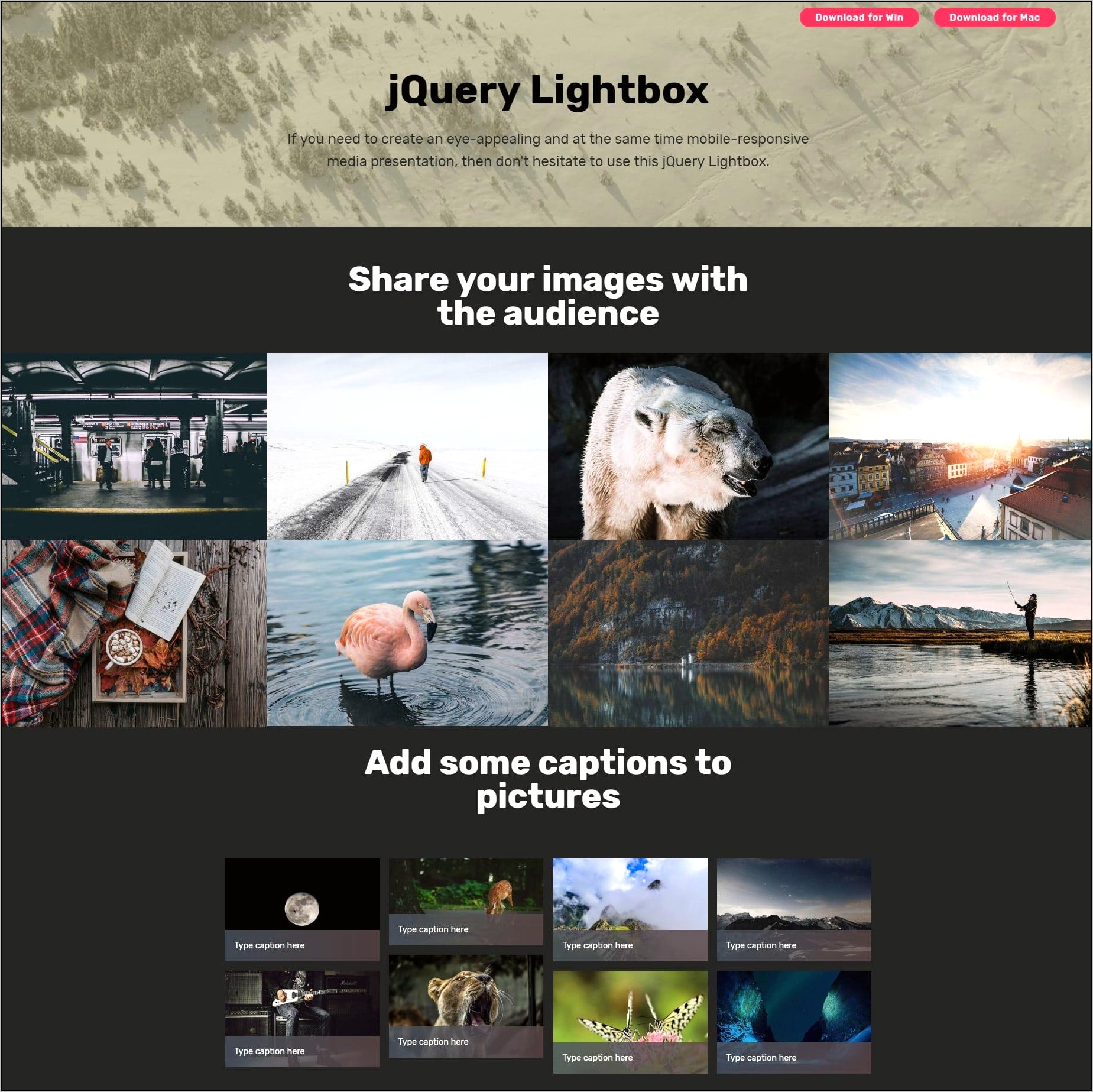 Jquery Photo Gallery Template Free Download