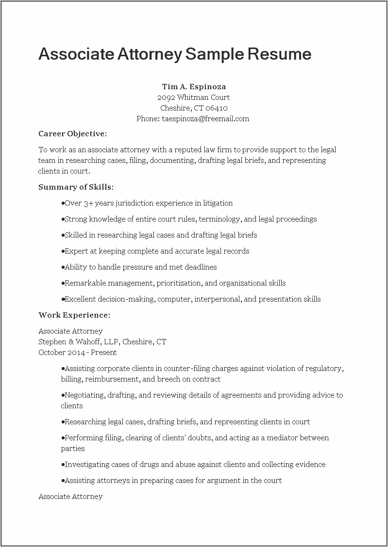 Law Firm It Resume Examples