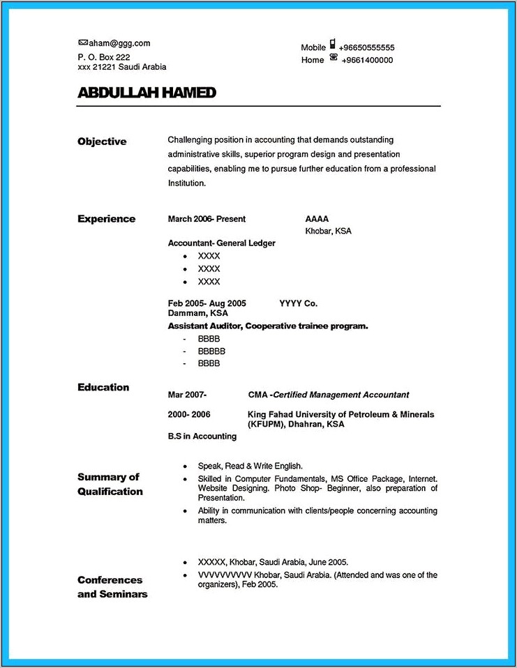 Main Objective For Auditor Resume