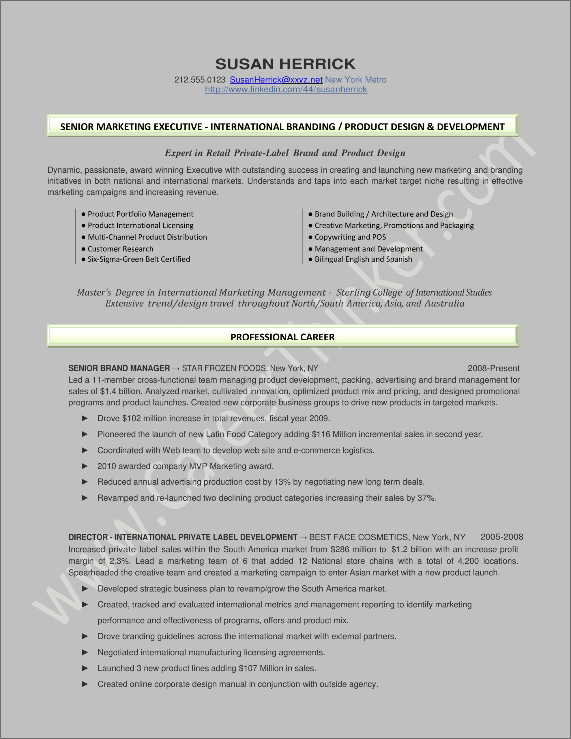 Marketing Executive Resume Sample Doc